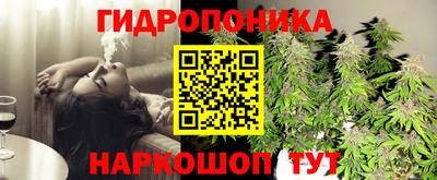 альфа пвп Аргун