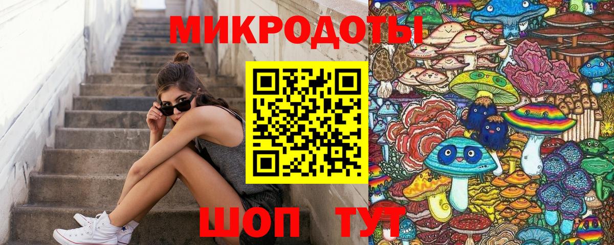 Псилоцибиновые грибы Psilocybe Балаково