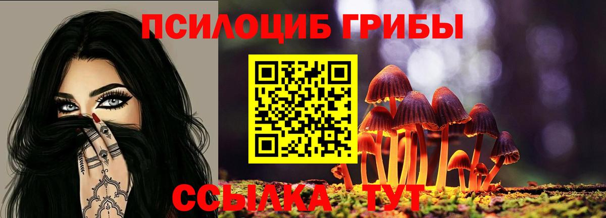 Псилоцибиновые грибы MAGIC MUSHROOMS  Вход с VPN  цены   Балаково 